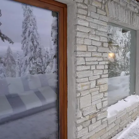 Chalet Kronplatz *