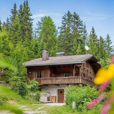 Chalet Kronplatz *